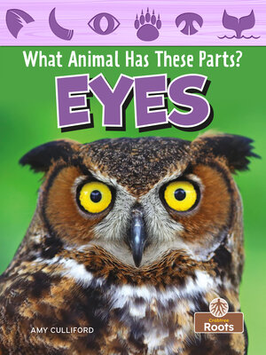 cover image of Eyes